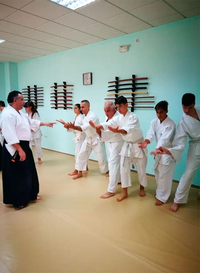Asociación Cultural Aikido Bushikai — artes marciales-studio en El Viso del Alcor — 5