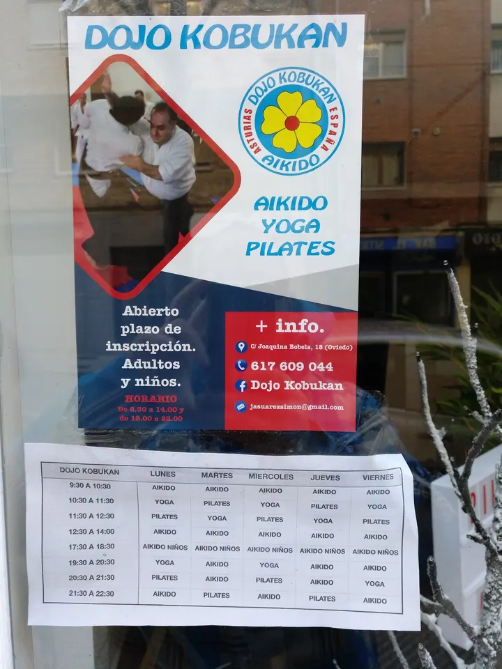 DOJO KOBUKAN — artes marciales-studio en Oviedo — 3