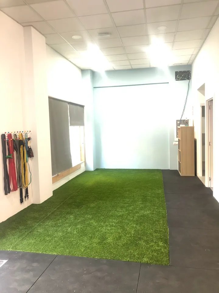 La Cancha Inclusiva — entrenamiento funcional-studio en Arganzuela, Madrid — 2