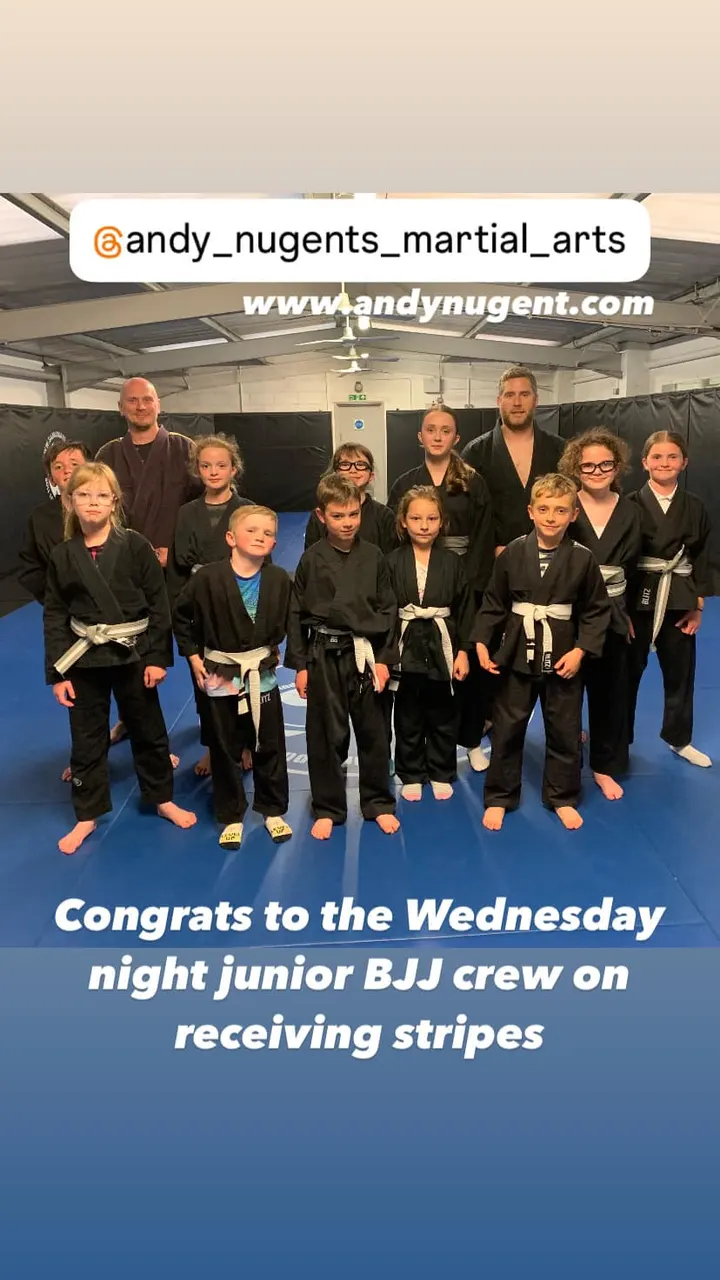 Andy Nugent's Academy of Martial Arts — martial arts-studio in Norton Green, Stevenage — 2
