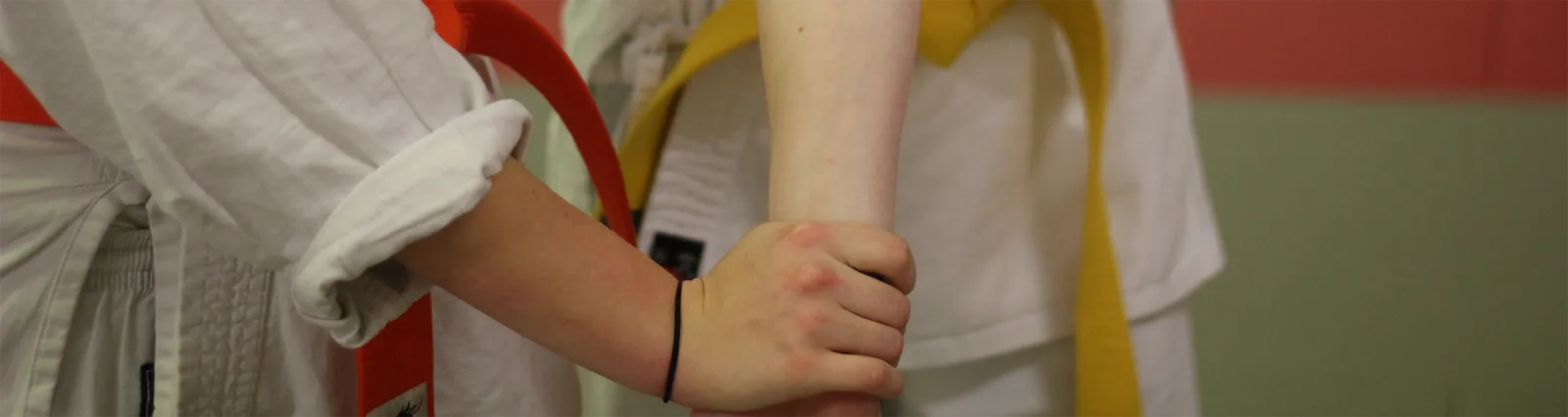 Budokwai Jiu-jitsu — kampsport-studio i Øgadekvarteret, Nørresundby — bild 3