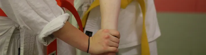 Budokwai Jiu-jitsu — kampsport-studio i Øgadekvarteret, Nørresundby — 3