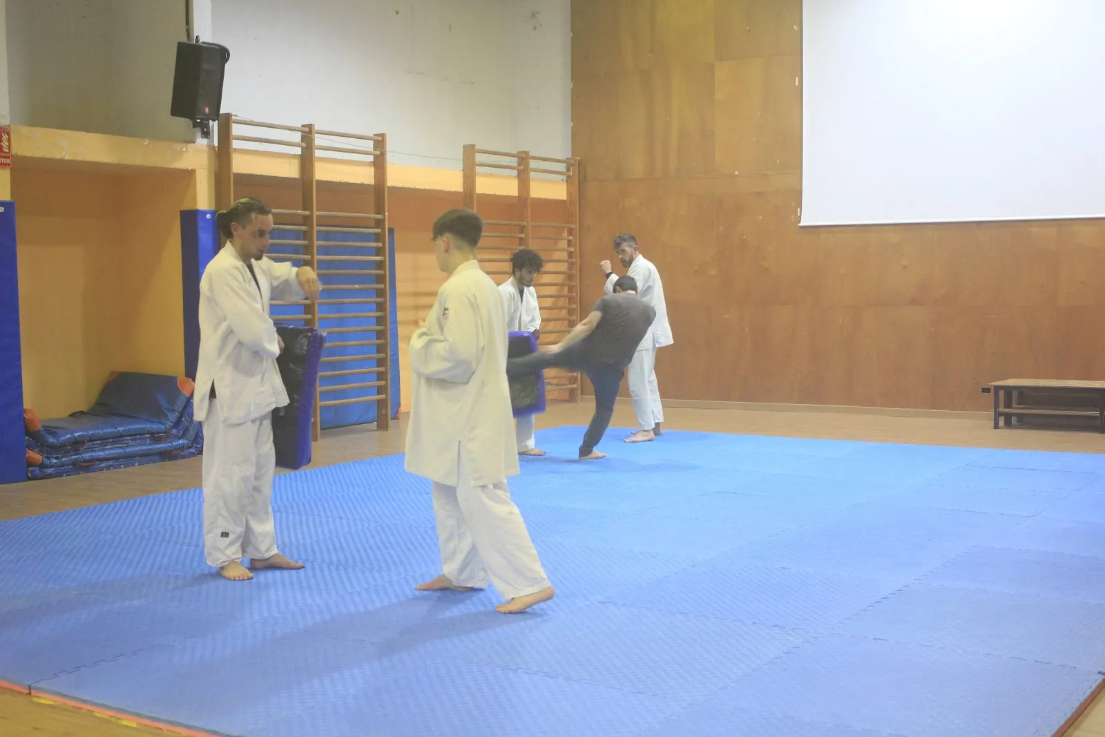 Kodojo — bjj-studio en Calafell — 4