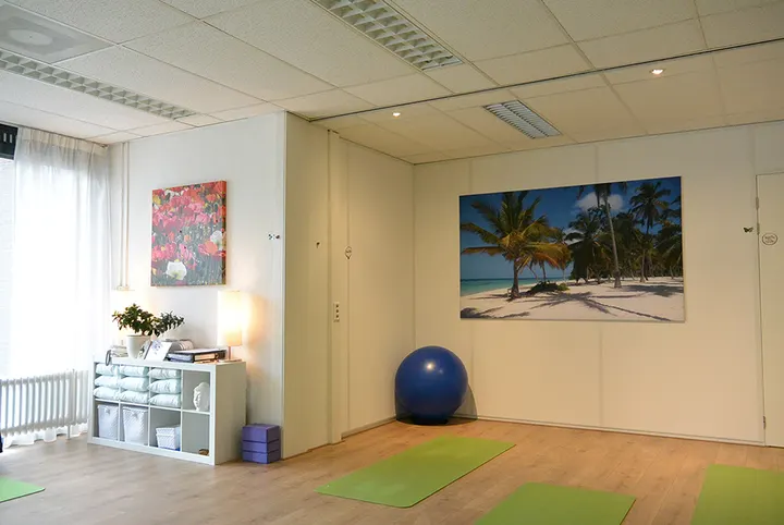 Vitalisee — yoga-studio in Staatsliedenkwartier, Woerden — 2