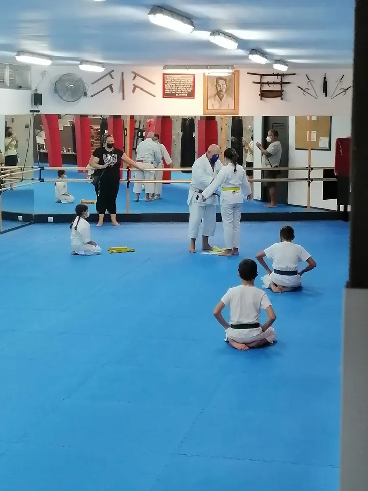 Club Sensei Jerez — artes marciales-studio en El Pelirón, Jerez de la Frontera — 3