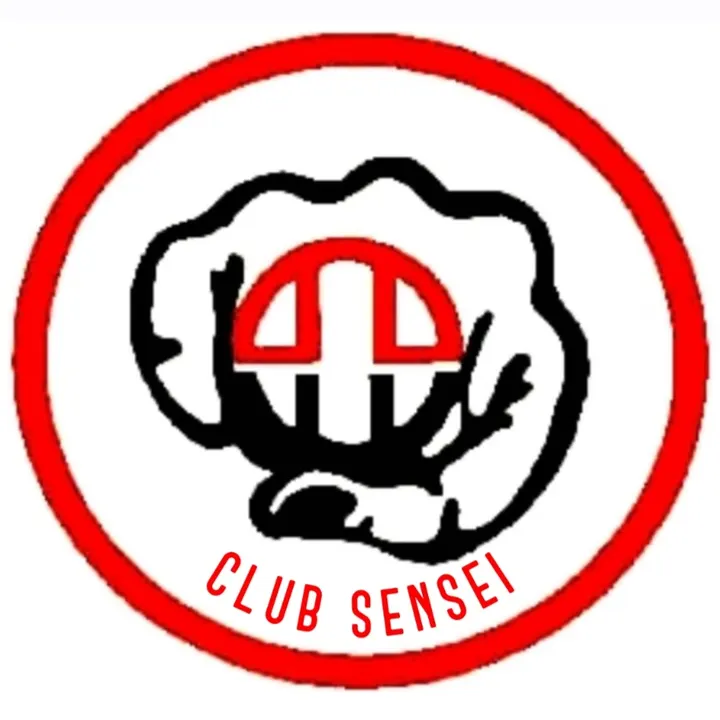 Club Sensei Jerez — artes marciales-studio en Jerez de la Frontera — 4