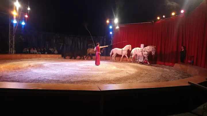 Esprit de cirque — arts aériens-studio à Néoules — 2