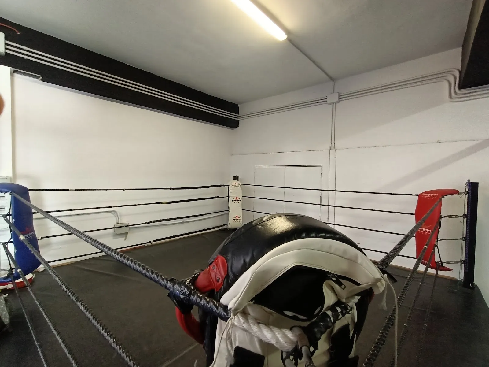 Boxeo impacto — artes marciales-studio en Alcalá de Guadaíra — 3