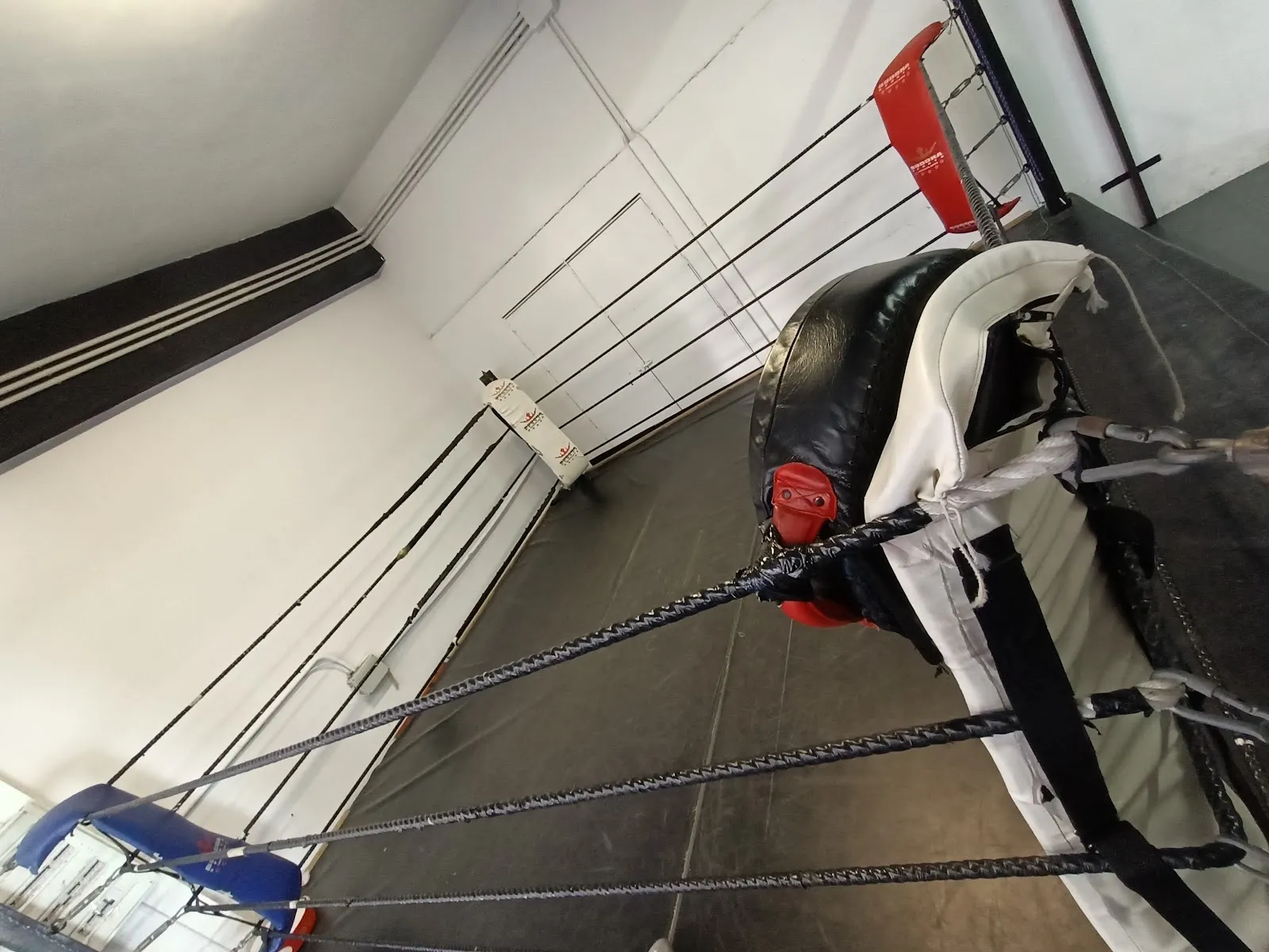 Boxeo impacto — artes marciales-studio en Alcalá de Guadaíra — 4