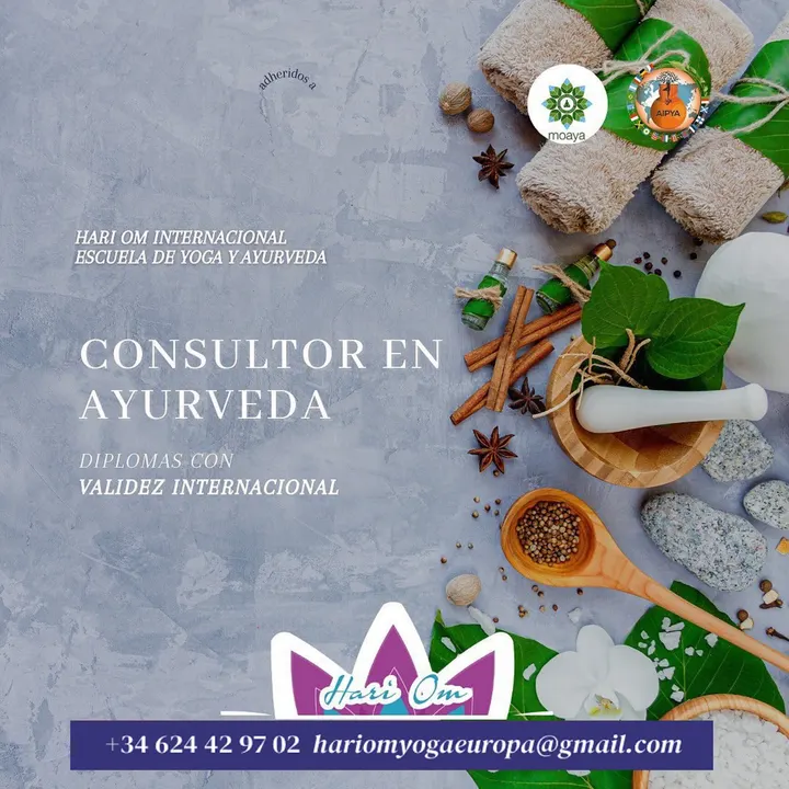 Hari Om Internacional Escuela De Yoga España — yoga-studio en Ciutat de les Arts i de les Ciències, Valencia — 2