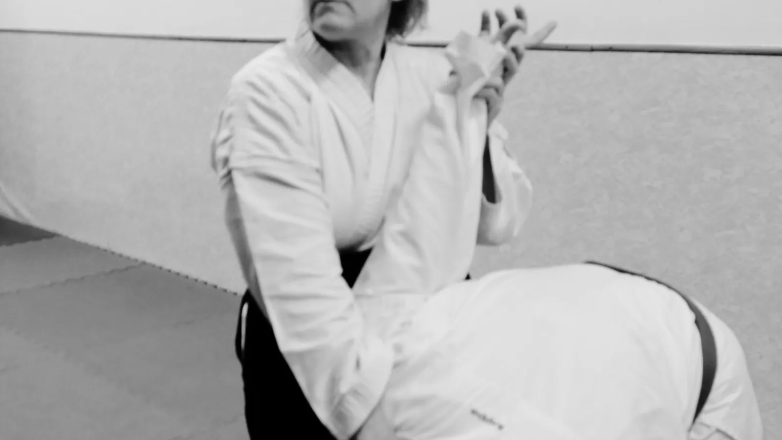 Aikido Reus — kampsport-studio i Reus — bild 3