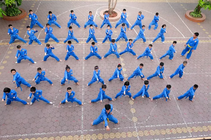Vovinam Viet Vo Dao Malbosc — arts martiaux-studio à La Paillade, Montpellier — 2