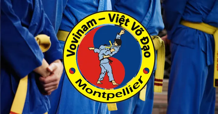 Vovinam Viet Vo Dao Malbosc — arts martiaux-studio à Montpellier — 5