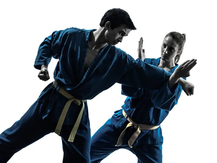 Vovinam Viet Vo Dao Malbosc — Arts martiaux à La Paillade, Montpellier