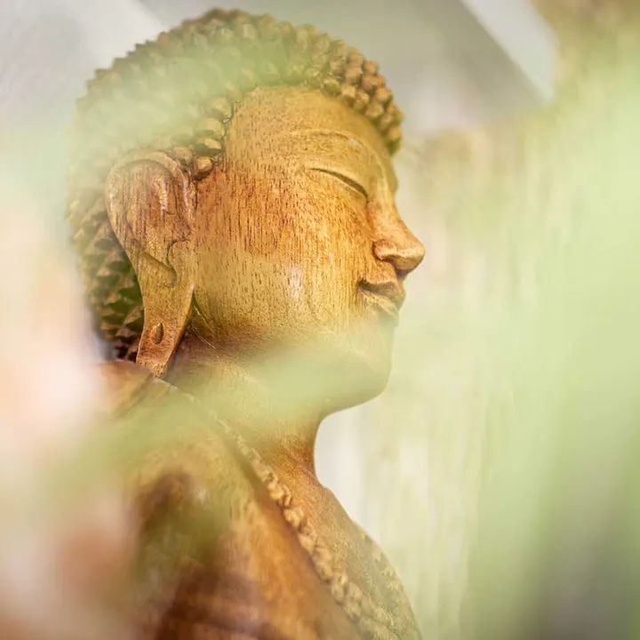 Majyoga — yoga-studio i Hedegårdene, Roskilde — 2