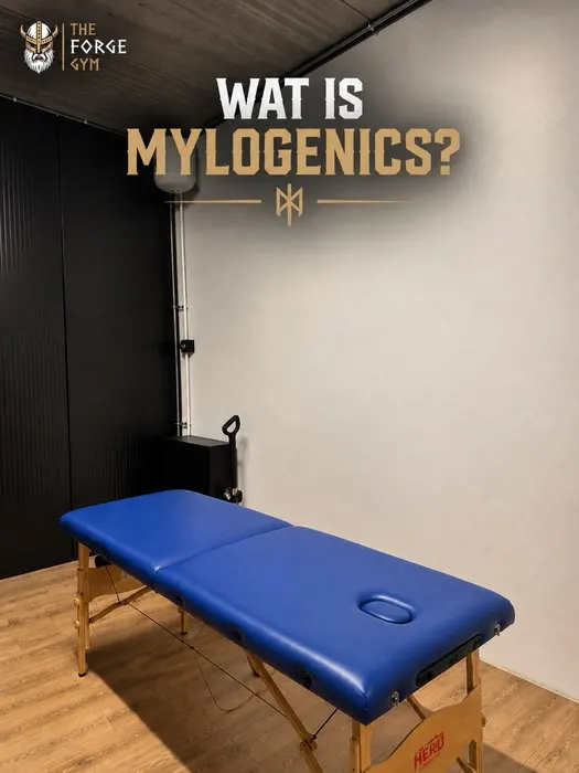 The Forge Gym — sportschool-studio in Wijk bij Duurstede — 2