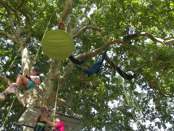 Voyage au bout de la cime — escalade-studio à Montpellier — 3