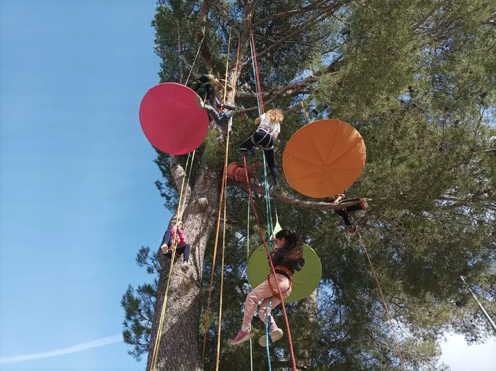 Voyage au bout de la cime — escalade-studio à Montpellier — 4