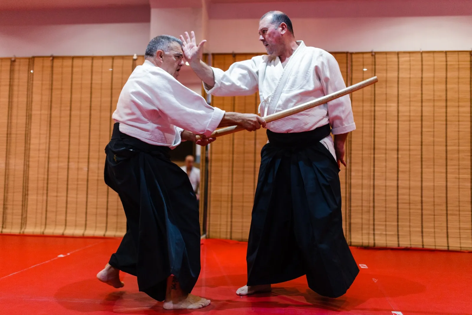 Club Aikido Cantabria — artes marciales-studio en Santander — 5