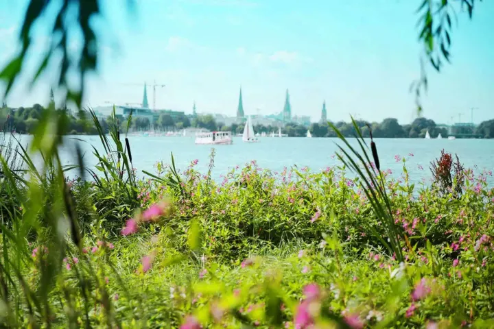 Outdoor Gym Hamburg - A7 Tunneldeckel — fitnessstudio in Schnelsen, Hamburg — 3