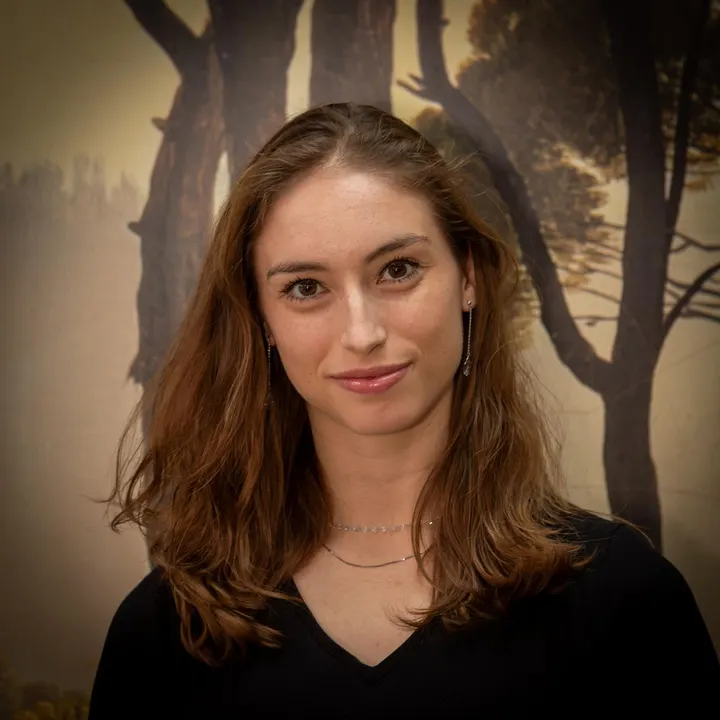 Wendy's Dance Company — dans-studio in Welgelegen, Nieuw-Vennep — 3