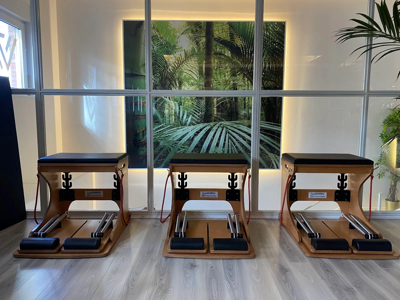 Wellness Center León. Pilates Patricia Alba — pilates-studio en Chantría, León — 3