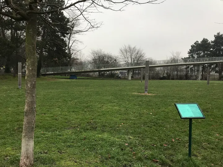 Slackline Yoga Vorgebirgspark - Outdoor — yoga-studio in Zollstock, Köln — 2