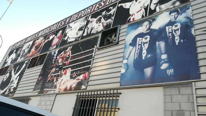 Gimnasio Rebel Pride — mma-studio en Polígono Industrial Santa Barbara, Málaga — 2