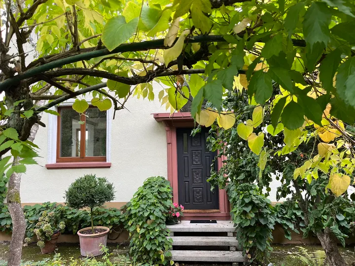 Corina Yoga — yoga-studio in Frankfurt am Main — 3