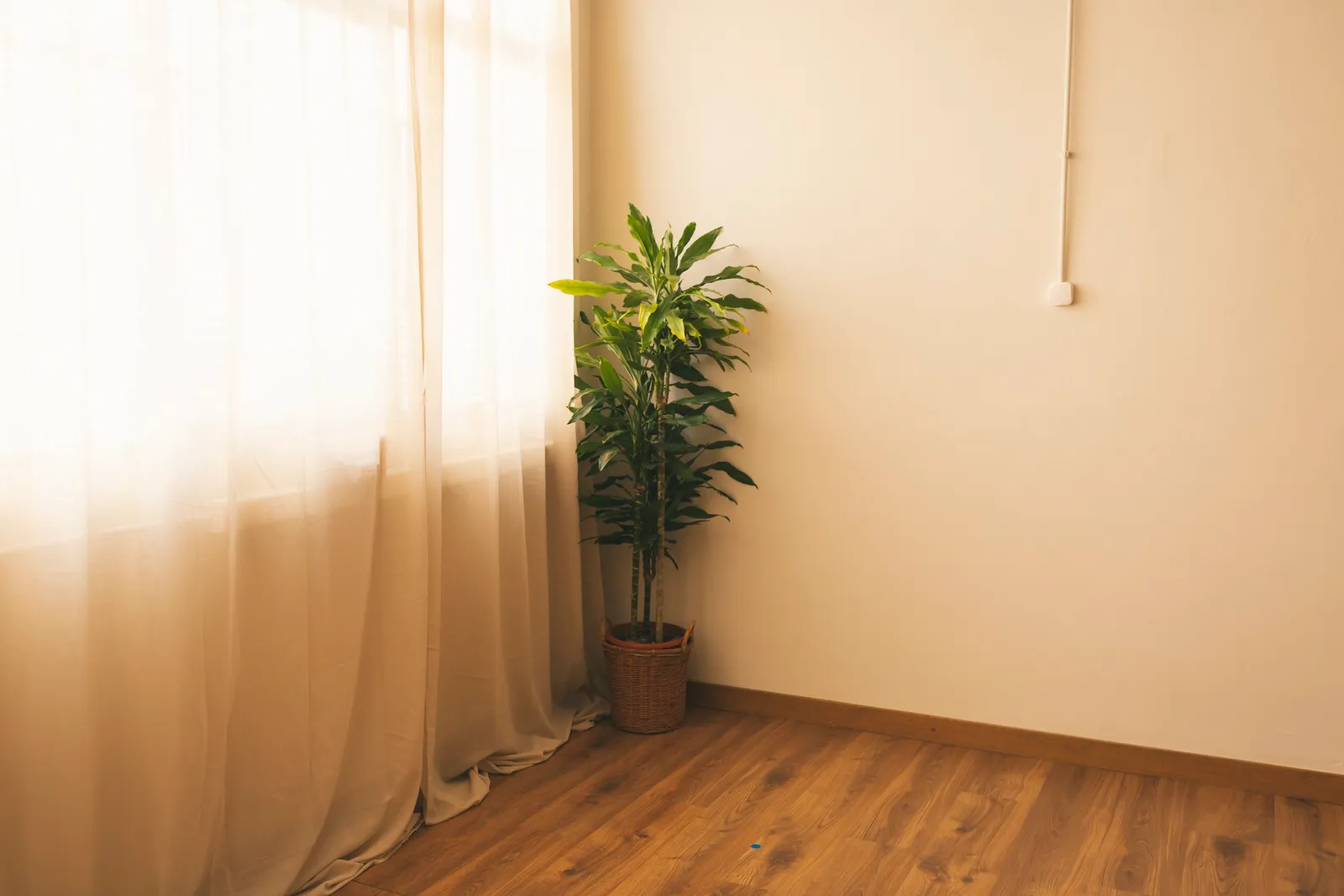 Ashtanga Yoga Gracia — yoga-studio i Gràcia, Barcelona — bild 2