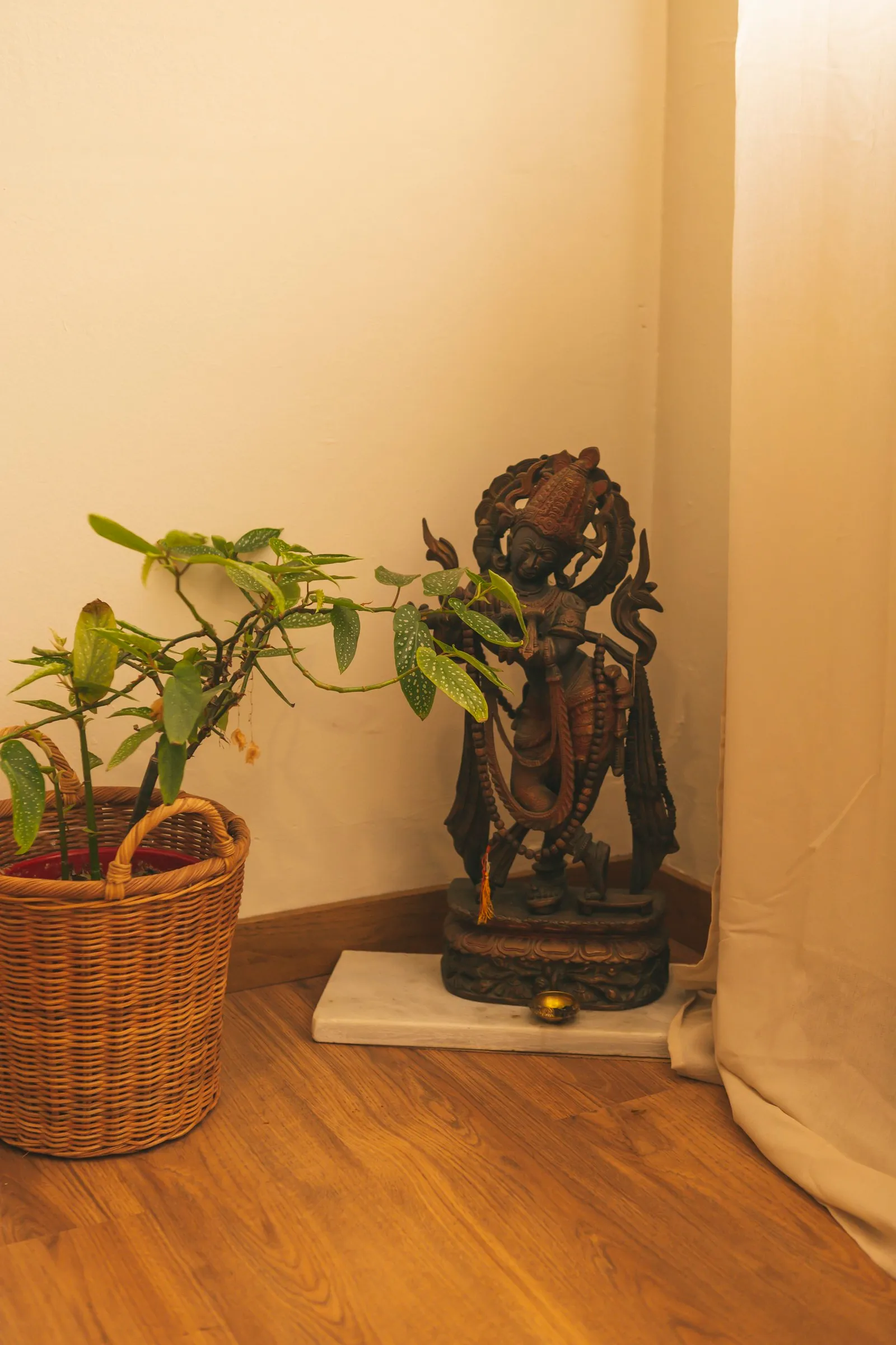 Ashtanga Yoga Gracia — yoga-studio i Barcelona — bild 4