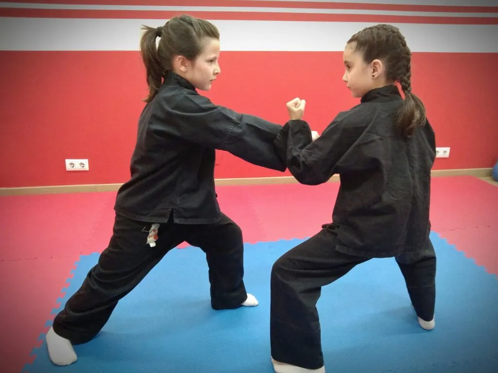 Escuela de Artes Marciales ZEN — kampsport-studio i Laviada, Gijón — bild 2