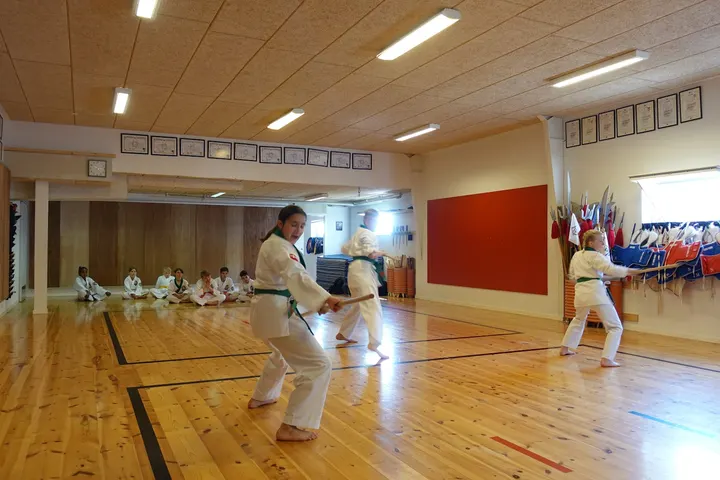 Ødsted Moo Duk Kwan Tang Soo Do klub — kampsport-studio i Ødsted — 3
