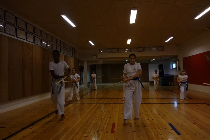 Ødsted Moo Duk Kwan Tang Soo Do klub — kampsport-studio i Ødsted — 4