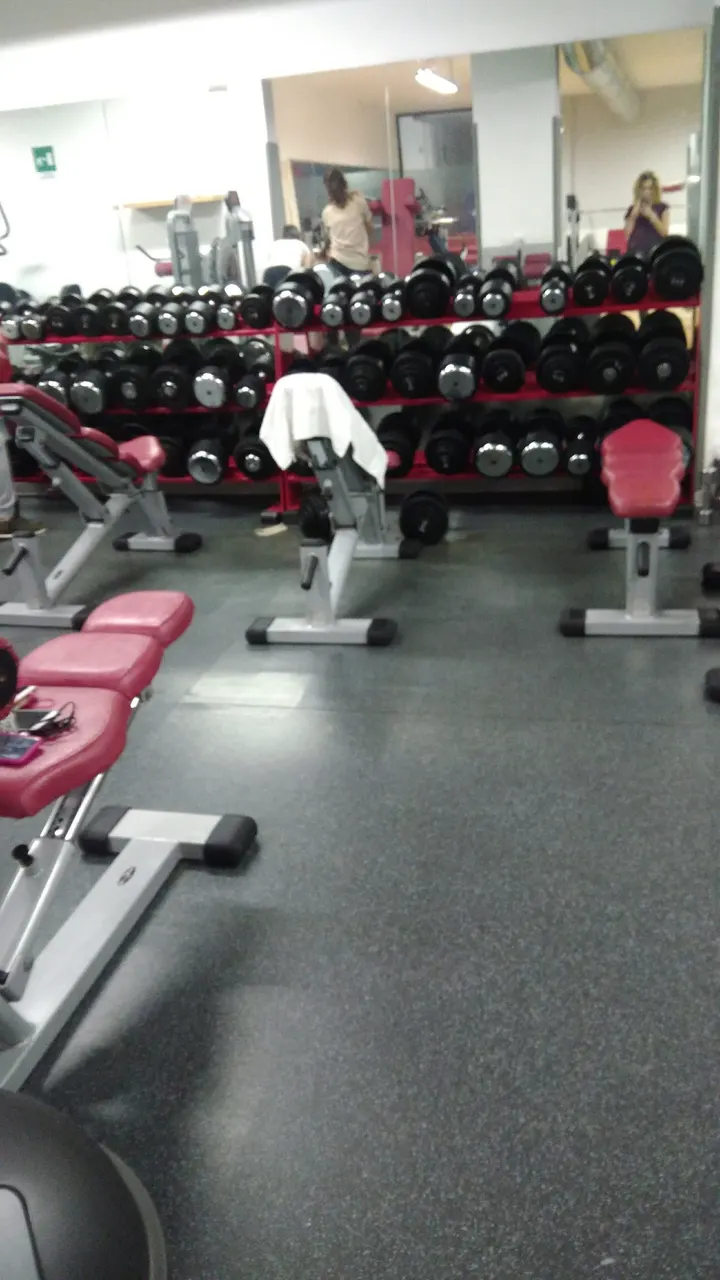 Viking Gym — palestre-studio a Pescara — 4