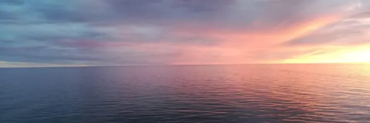 Rummet for Tai Chi Chuan udøvere — Breathwork i Frederiksberg