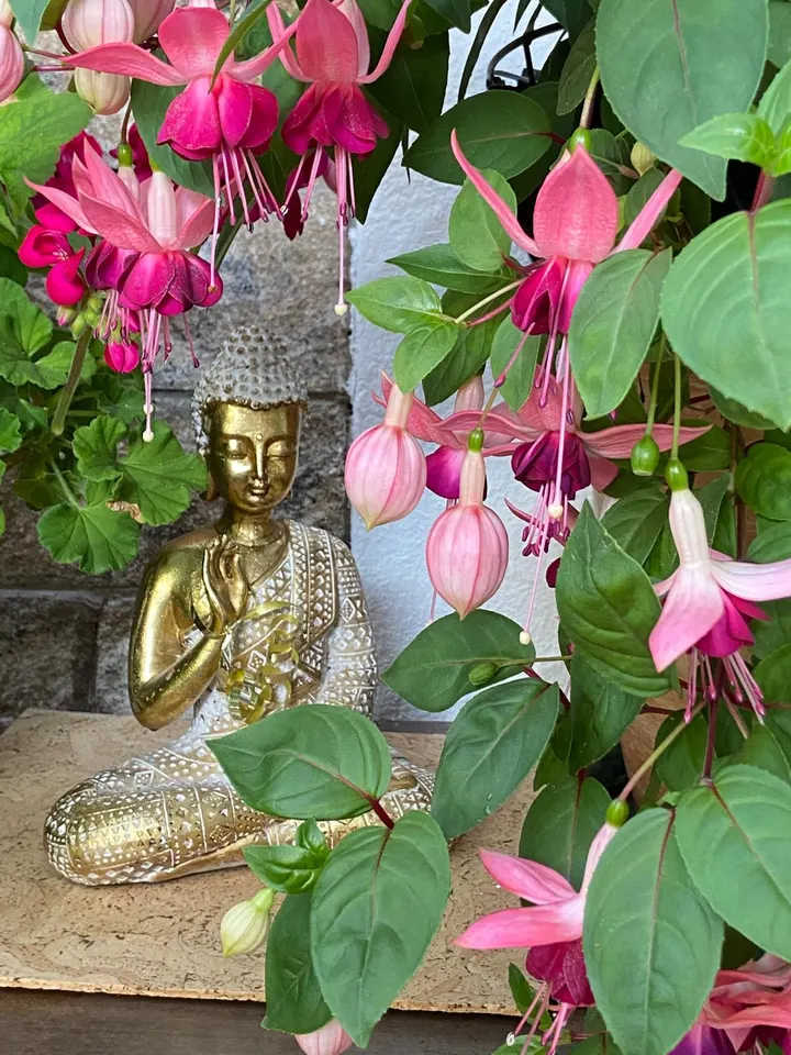 Lu Jong Studio — yoga-studio in Stein, Geretsried — 2