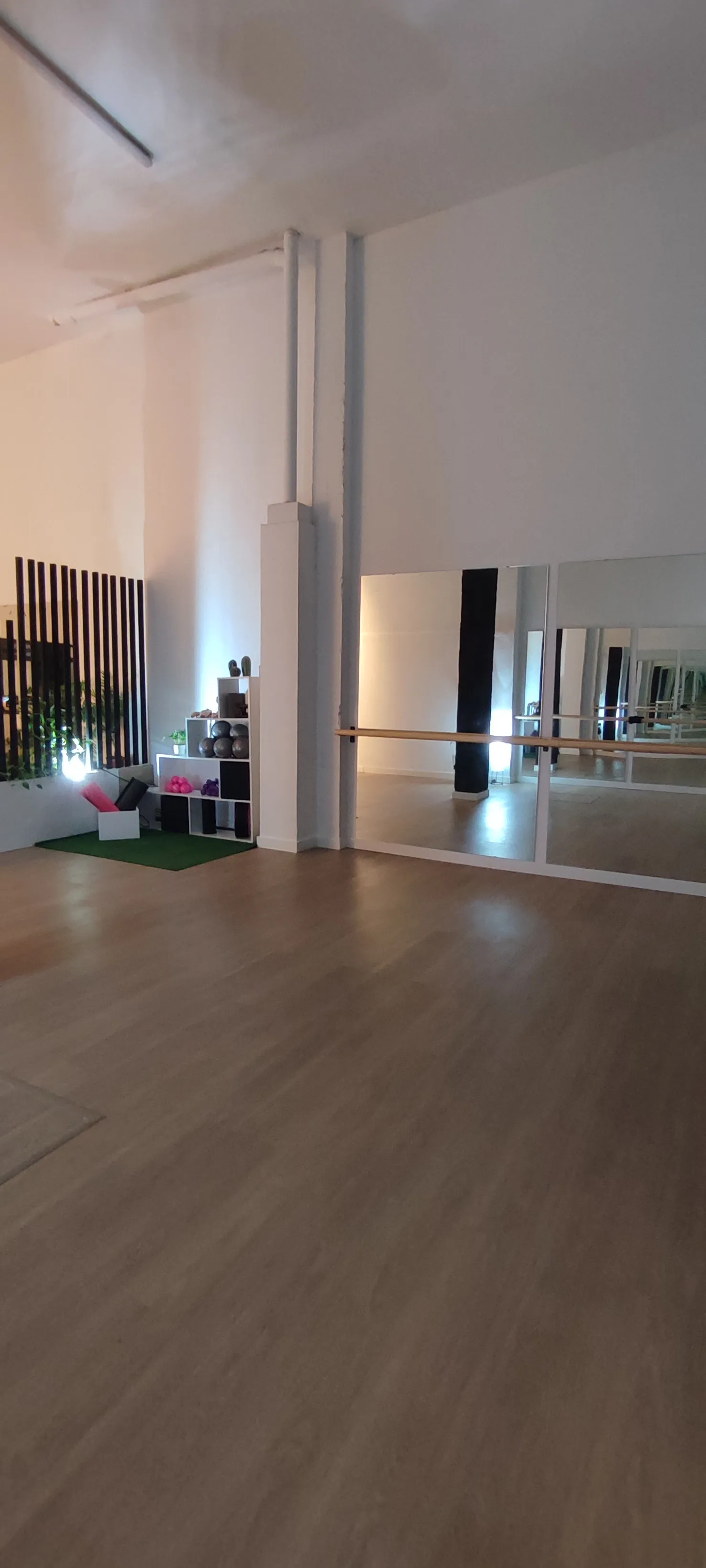 Pole Dance Zero Gravity — estudio de fitness-studio en Pardaleras, Badajoz — 3