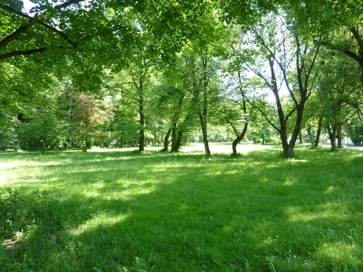 Yoga im Herzogpark — yoga-studio in Bogenhausen, München — 3