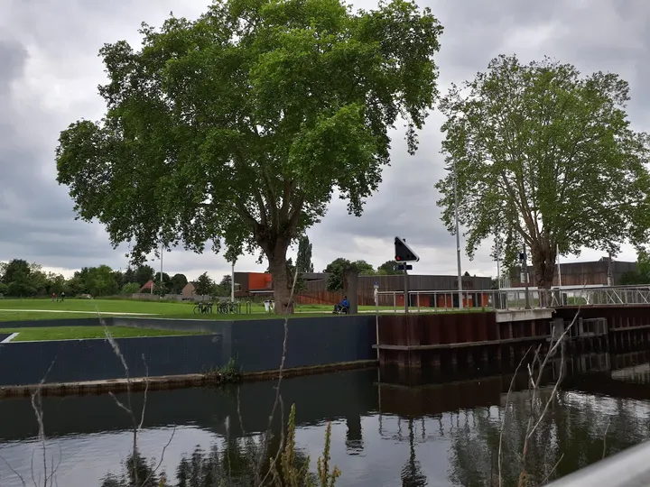 Rowing Club Strasbourg — Aviron à Neudorf-Musau, Strasbourg