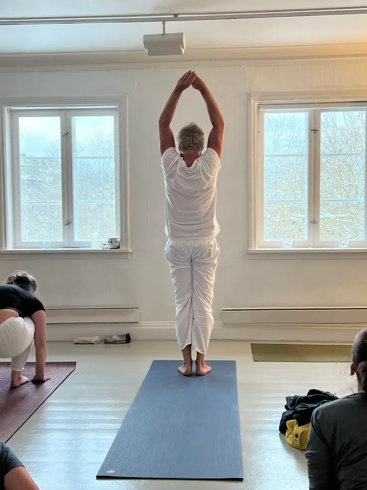 Tjøme Yoga Linn Mjelde — yoga-studio i TJØME — 3