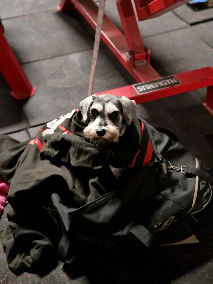 Power house — fitness studio in Ellesmere Port — 3