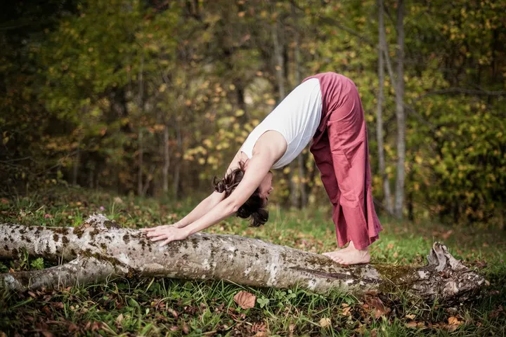 YOGA BY LU — Yoga à Secteur 4, Grenoble
