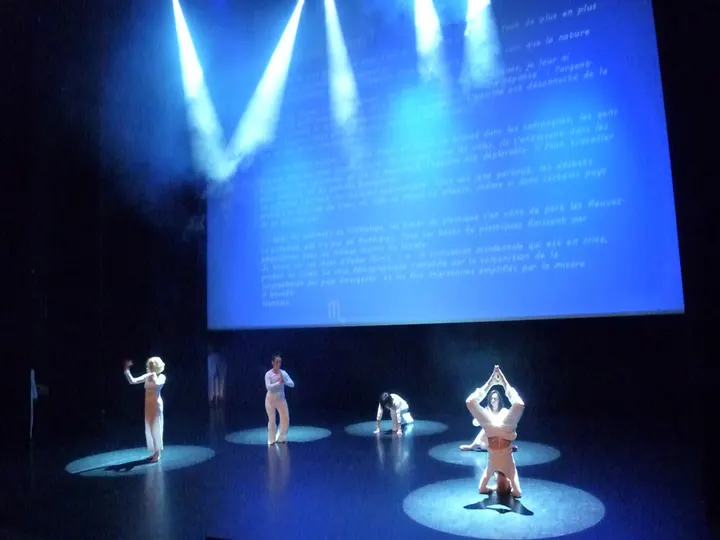 Ecole de danse Pierre Moutou — danse-studio à Brest-Centre, Brest — 3