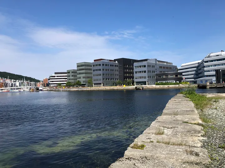Vikinghallen — treningsstudio i Sandviken, Bergen — 2