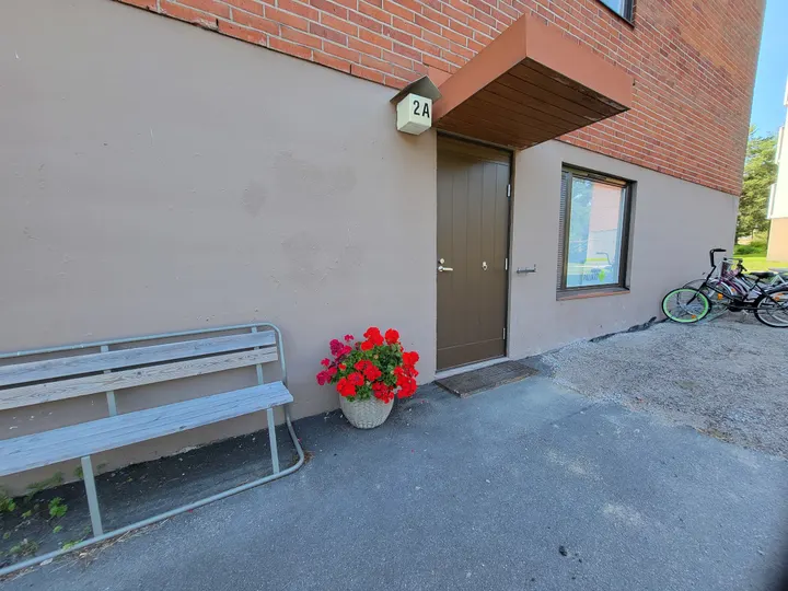 Studio Hyvinvoinnin Palikat — jooga-studio – Hakametsä, Uusikaupunki — 2