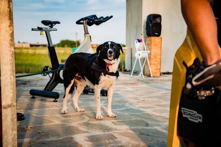 Wellness Klab — palestre-studio a Castelrosso — 4