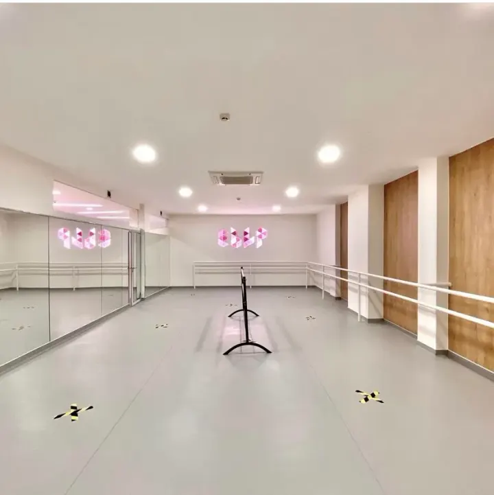 EBLP Ballet de Leça da Palmeira — Dança em Leça da Palmeira, Matosinhos