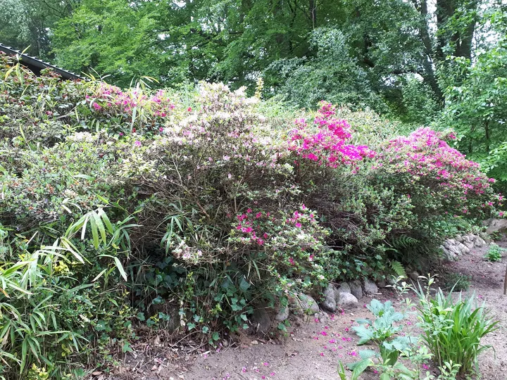 Haus der Stille — meditation-studio in Roseburg — 3