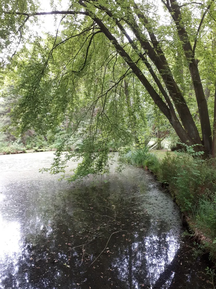 Haus der Stille — meditation-studio in Roseburg — 4